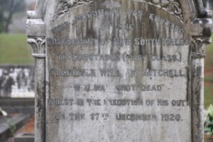 Photos taken in 2014 by Cal 2014-0973