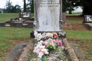 Photos taken in 2014 by Cal 2014-0978