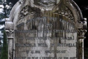 Photos taken in 2014 by Cal 2014-0979