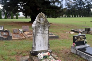 Photos taken in 2014 by Cal 2014-0988