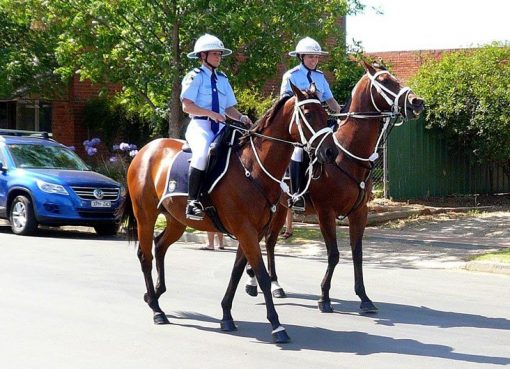 Cyril Elgard HOWE, Cyril HOWE, Sgt HOWE, Cst 1/c HOWE, Oakley Police Station, Dedication, Memorial