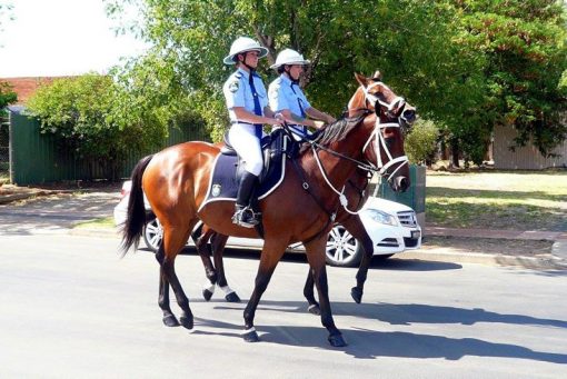 Cyril Elgard HOWE, Cyril HOWE, Sgt HOWE, Cst 1/c HOWE, Oakley Police Station, Dedication, Memorial