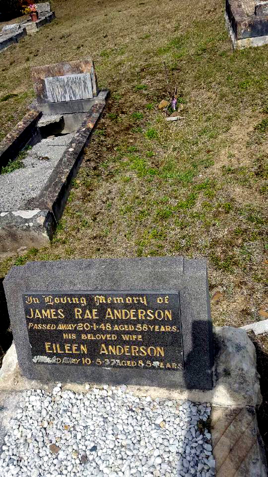 70 years AFTER Sgt Pratt was Killed On Duty and this is his Unmarked grave at Katoomba Cemetery ( 2015 )