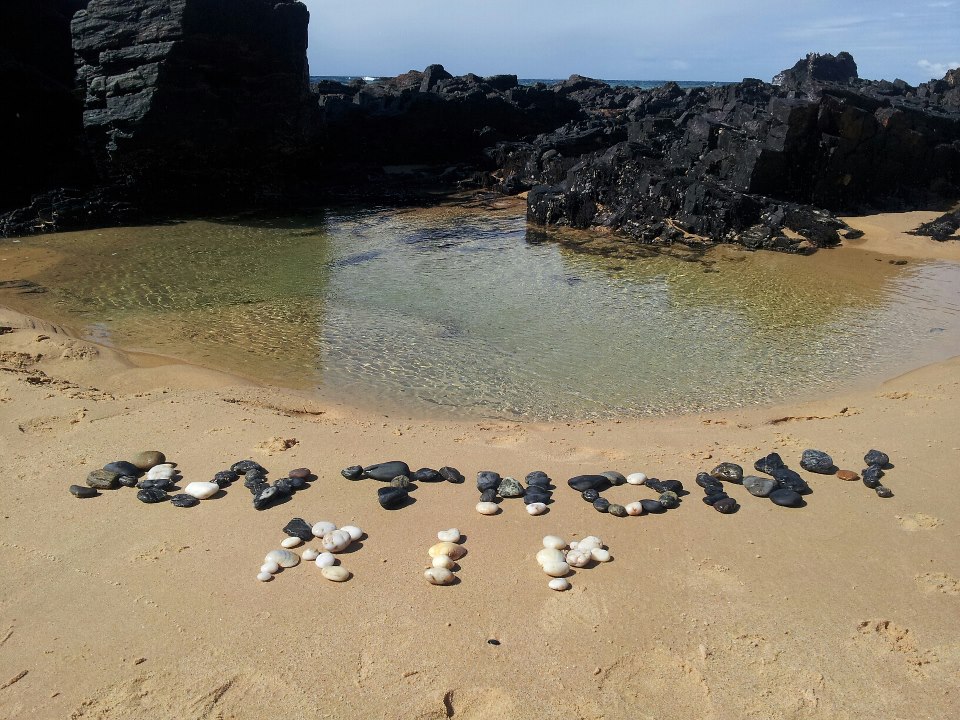 Anthony Phillip BROWN - 2 - Died 260313