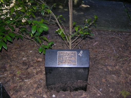 Photo Credit: Lynn LUCAS - Sept. 2022 Patrick John CLEARY, Patrick CLEARY, Pat CLEARY: In Loving Memory of Patrick John CLEARY 4 March 1975 - 24 November 2005. Loved and remembered by Family and Friends. May you Rest In Peace.