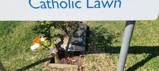 Photo: Kevin Banister David James GUFF