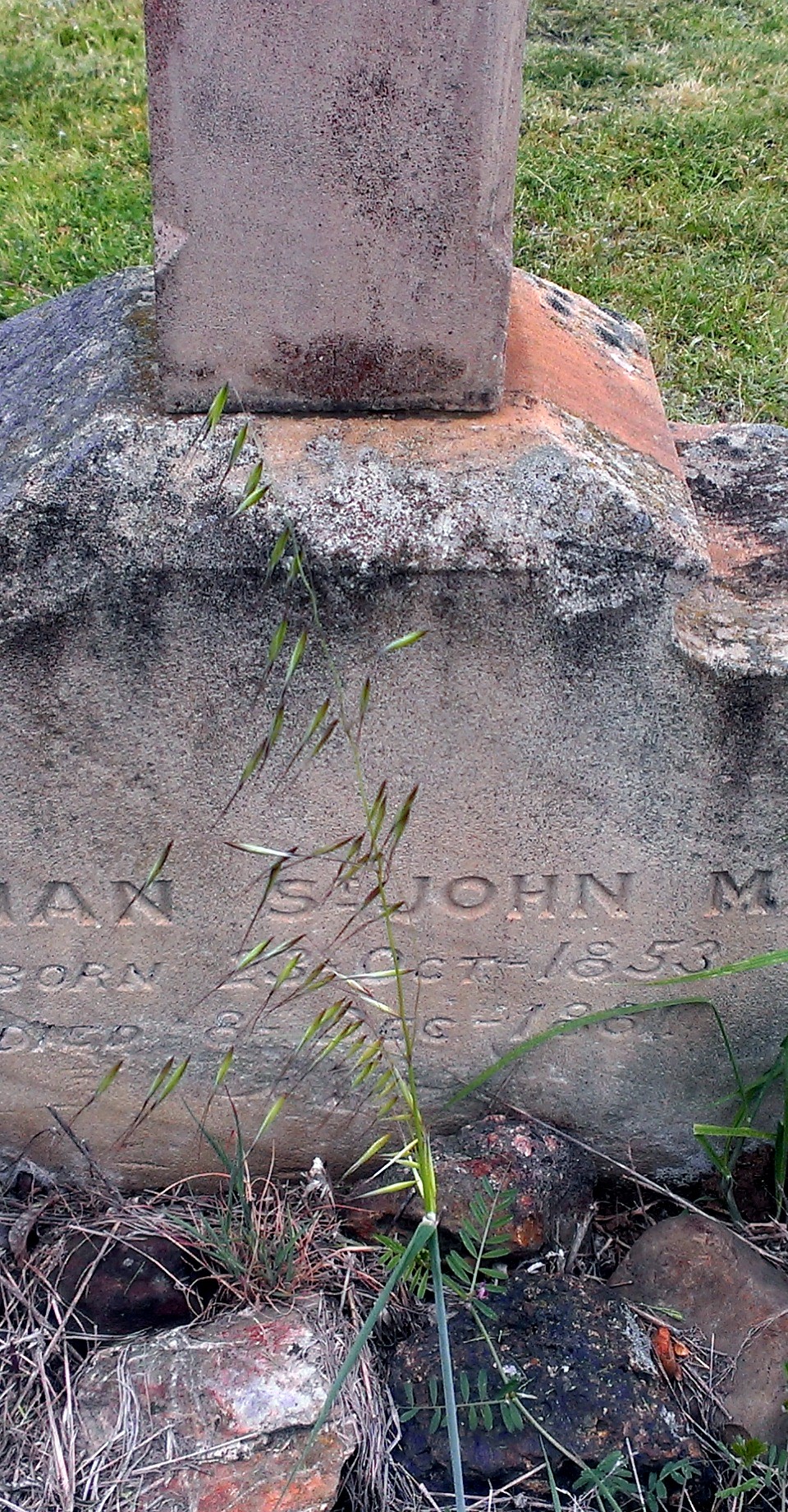 William Norman St. John MAULE 4