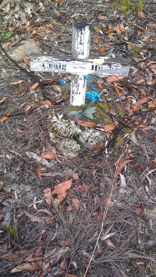 Grave of Craigh HUGHES, Lower Portland General Cemetery, Lower Portland, NSW