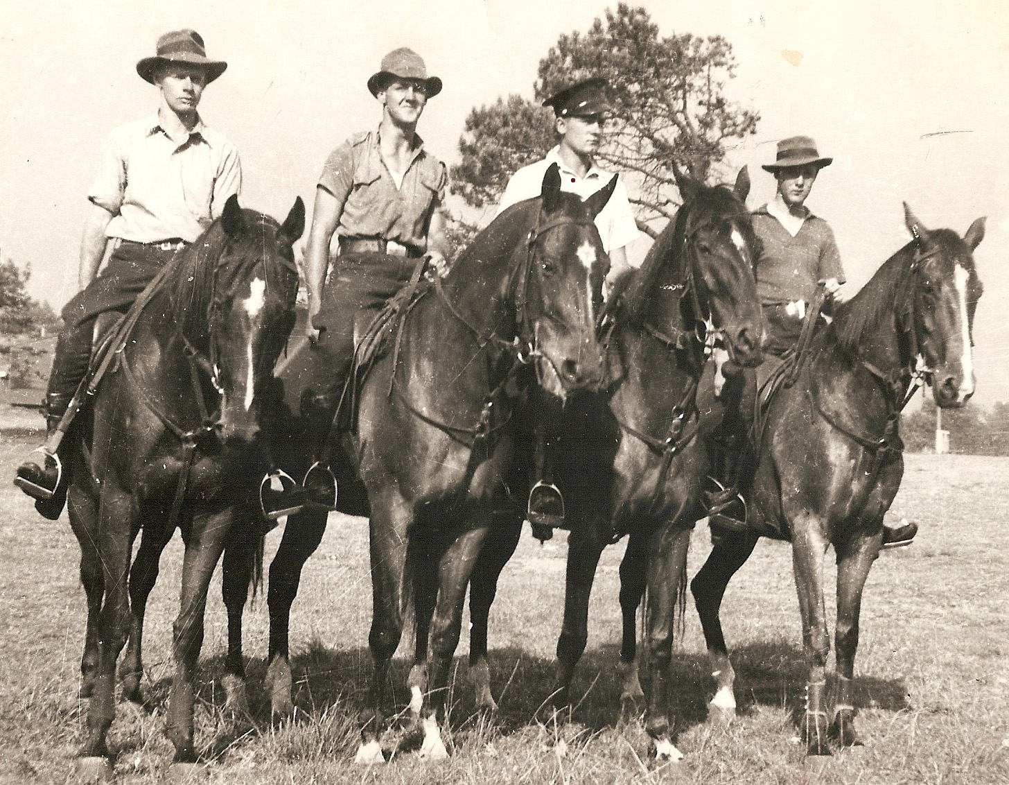 http://www.expolicecadets.asn.au/gallery.php?imageid=88 A photograph taken in 1946 of four cadets exercising police horses at Centennial Park. They are from left: John Nivision-Smith, Bob Shepherd, Ray Carpenter and Jack Bailey.