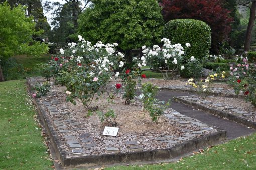 Kevin Banister - 2022 Richard Charles WHITTAKER - Grave location. Palmdale Cemetery, Palmdale, NSW