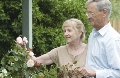 Marilyn & Arthur Taylor with the Angela Taylor Rose