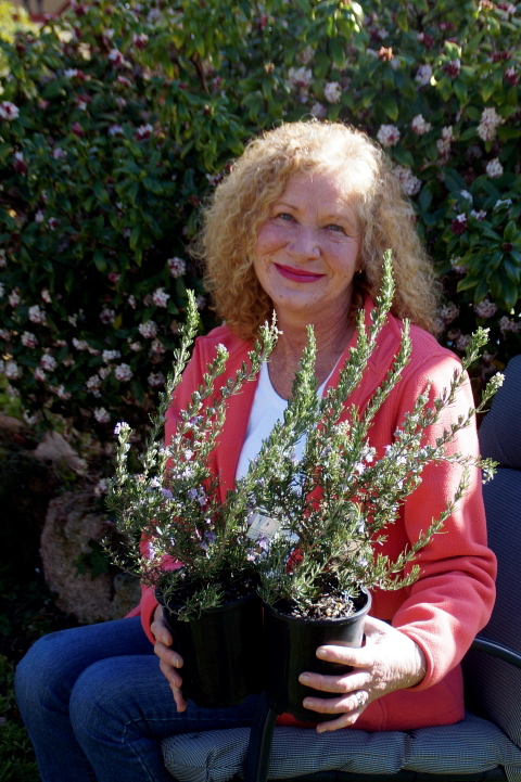 NEVER FORGOTTEN: Claire Lewis with the pink rosemary to be planted in memory of her sister, policewoman Ann Brimblecombe who died 10 years ago. PHOTO: Wendy Stephens
