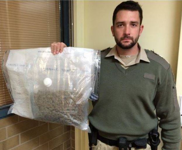 http://www.westcoastsentinel.com.au/story/3028365/cannabis-found-on-road/ FOUND: Brevet Sergeant Ashley Meek with the cannabis found on the Eyre Highway.