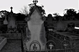 INSCRIPTION: In memory of FRANCIS DRUM Late Senior Constable N.S.W. Police who was accidentally killed by a fall from his horse near Warangang Station, Marengo, on the 12th Jan. 1882. He was born 31st march, 1838, at Auchandinard, Bally Connell, Co. Fermangagh, Ireland. Requieseat in Pace. Amen.