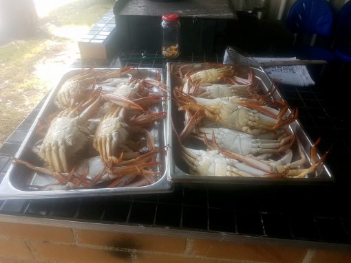 Harry 'The Wasp' WAWSZKOWICZ