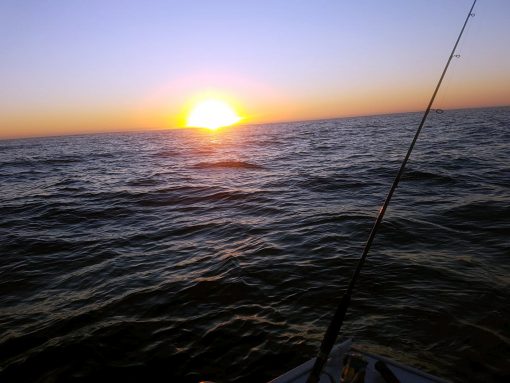 Harry 'The Wasp' WAWSZKOWICZ