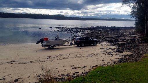 Harry 'The Wasp' WAWSZKOWICZ