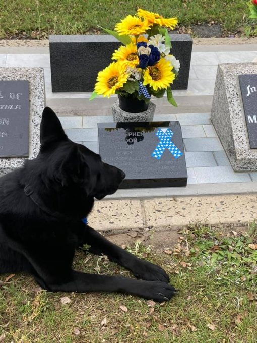 Stephen Gordon NIXON AKA Watergate, Nixo, Nicko, Stephen NIXON, Steve NIXON