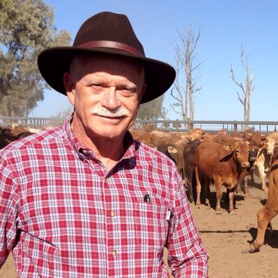 In Charleville, Qld, for WANTED story on cattle stealing - 5 September 2013