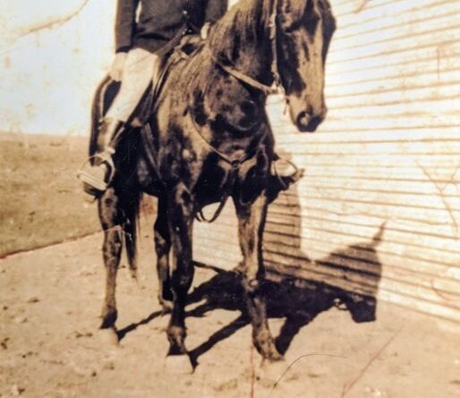 This is a photo of Linda Mitselburg's grandfather, John James "Jack" Duncan. He was a mounted policeman in Wilcannia in the late 1920s. We are not sure of where the photo was taken, as he was also stationed in White Cliffs, Broken Hill, Menindee, Howlong, Wentworth and Ivanhoe during his time in the police. If you have an information that you can give us, it would be greatly appreciated.