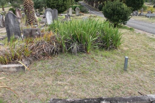 William CARPENTER - Grave