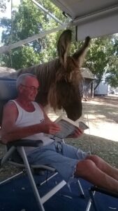 Stephen Laurence RIDLEY, Steve RIDLEY, Stephen RIDLEY, Steve RIDLEY, Seagull, Stephen RIDLEY, Riddles