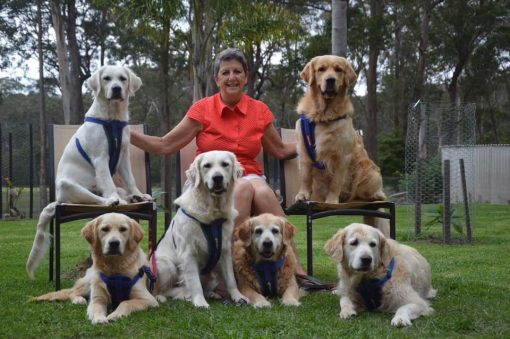 Susan Mary WILLIAMSON, Susan WILLIAMSON, Sue WILLIAMSON